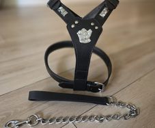 dog leather harness with free chain lead