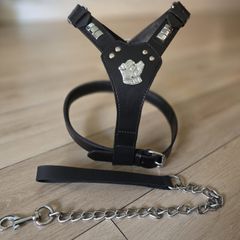 dog leather harness with free chain lead