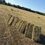 Small Square Bales of Hay Image 3