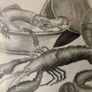 Eye catching sketch in frame Image 3