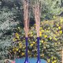 2xLSA 60cms hand blown vases Image 3