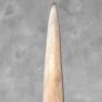 Swordfish tusk. Image 3