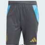 Brand new original Adidas men Argentina shorts Image 2