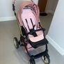 pink and gold  buggy Image 2