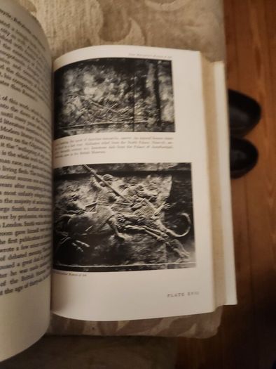 Gods, Graves,& Scholars. By C.w.ceram. The Story Of Archeology. With 49 Photos And 72 Drawings.  Hardback 1954. With Dustjacket In Good Condition.