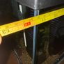 Tropical fish tank Image 5