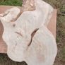 Timber ,solid wood,coffee tables Image 4