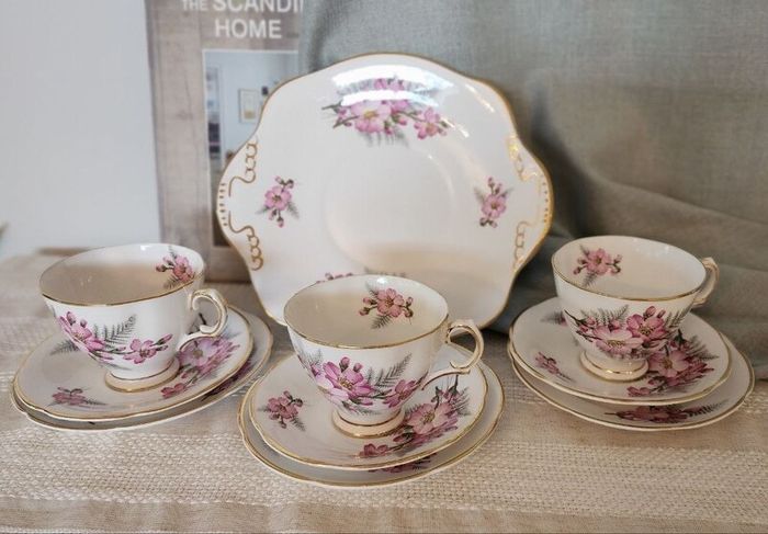 1960s Royal Tara Galway Fine Bone China Tea Set Wild Rose & Fern