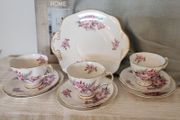 1960s Royal Tara Galway Fine Bone China Tea Set Wild Rose &amp; Fern