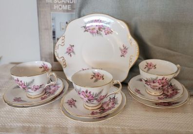1960s Royal Tara Galway Fine Bone China Tea Set Wild Rose & Fern