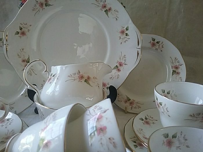 Duchess Glen 316 China Teaset