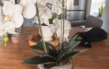 artificial flower pot