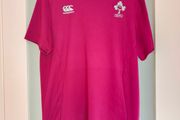 Canterbury Irish Rugby (IRFU) polyester training top