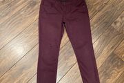 Savida Plum Jeggings