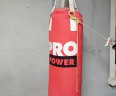 Punch/kick bag
