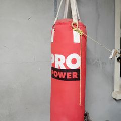 Punch/kick bag