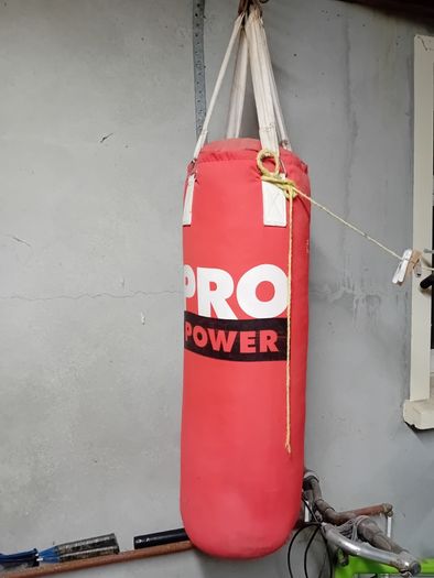 Punch/kick bag