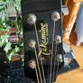 Takamine EG541 SSC Semi Acoustic and carry bag Image 4