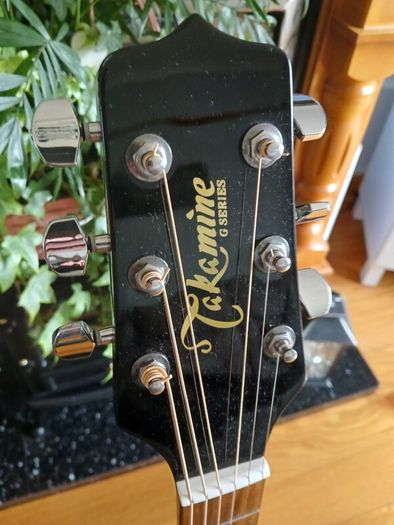 Takamine EG541 SSC Semi Acoustic and carry bag
