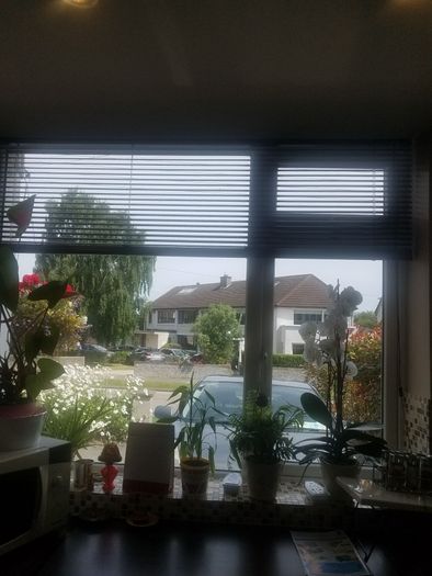 venitian blinds