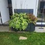 large planter box Image 5
