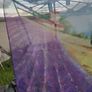 Mediterranean Style Loop Curtain Image 4