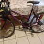 Ladies bike Image 2