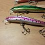 4 Minnows Image 2