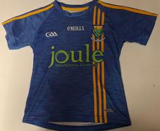 Wicklow GAA O'Neills Gaelic Football Jersey (Youths 7-8 Years) FREE POST