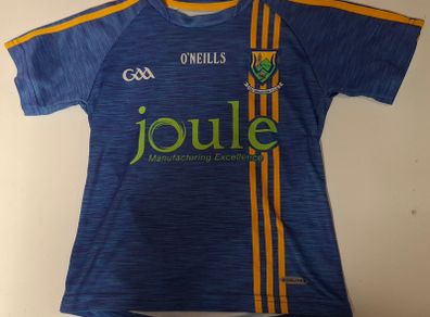 Wicklow GAA O'Neills Gaelic Football Jersey (Youths 7-8 Years) FREE POST