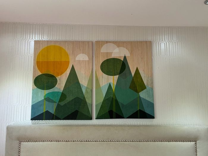 Stunning two piece canvas picture