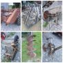 Ferguson implements Image 10