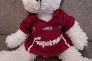 Galway Teddy