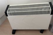 Electric heater