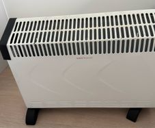 Electric heater