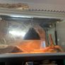 Vivarium bundle Image 4
