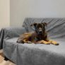 Dog Pee Pad Washable-Extra Large 125x168 cm Instant Absorb Training Pads Non-Slip Pet Playpen Mat Waterproof Reusable Floor Mat for Puppy/Senior Dog Whelping Incontinence Housebreaking Image 5