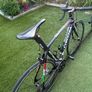 Bottecchia supernova SP9 Team Race bike Image 6