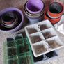 Plant Pots Image 3