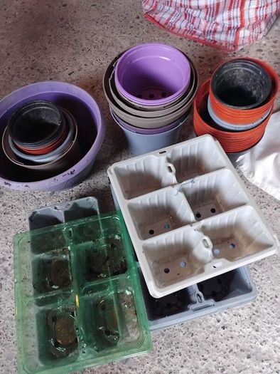 Plant Pots
