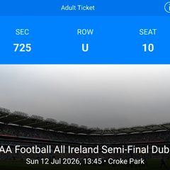 Dublin v Kerry Hogan Ticket | Football All Ireland Semi-Final