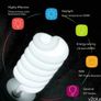 44123 2 250W Bulb Continuous Light Photo & Video Studio Image 5