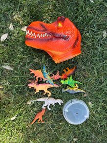 Toy dinosaurs