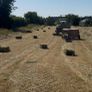 Small square Hay bales Image 4
