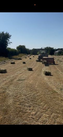 Small square Hay bales
