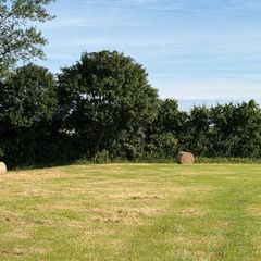 29 bales of Hay