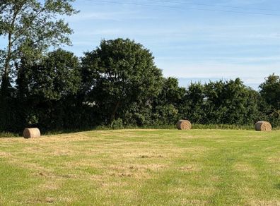 29 bales of Hay