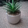 fake plants Image 4