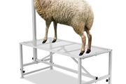 Goat &amp; Sheep Stand, 47x23 inch Livestock Stand, Metal Livestock Milking and Shearing Stand 21" to 33" Adjustable Height