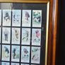 Framed Vintage Golf Cigarette Cards  Complete Collection 50 Cards Image 6